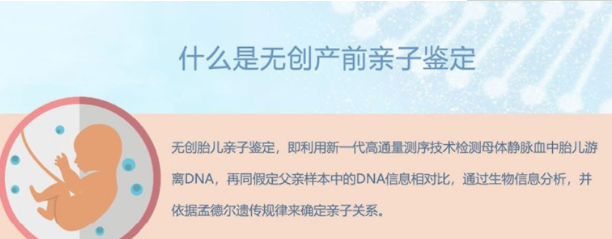 在[鸡西]怀孕期间需要怎么办理亲子鉴定,鸡西孕期亲子鉴定要多少钱