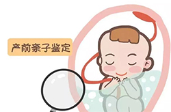 鸡西怀孕四周能做怀孕亲子鉴定吗【挂号预约】，鸡西办理无创怀孕亲子鉴定收费多少钱